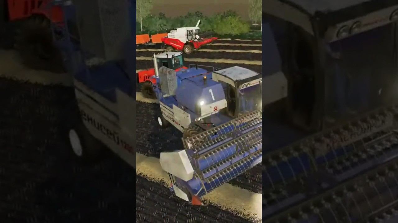 Выгрузка пшеницы ЕНИСЕЙ-1200НМ смотреть онлайн