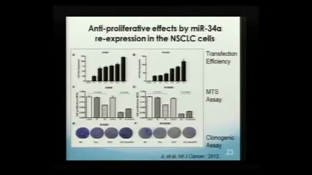 PINC 2013: Dr.Smiti Vad Gupta's talks about tocotrienols effects on cancer cells смотреть онлайн