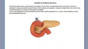 Как улучшить пищеварение