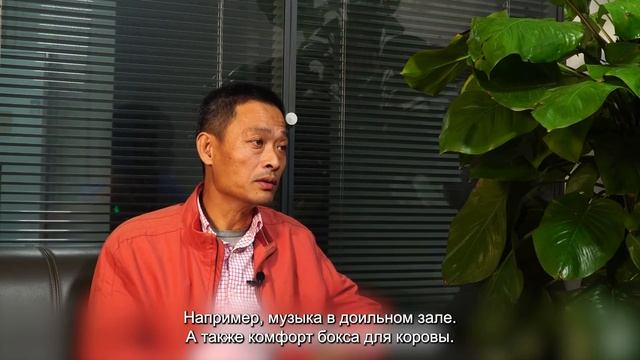 Лидеры промышленного доения: опыт китайской фермы "Канхун" смотреть онлайн