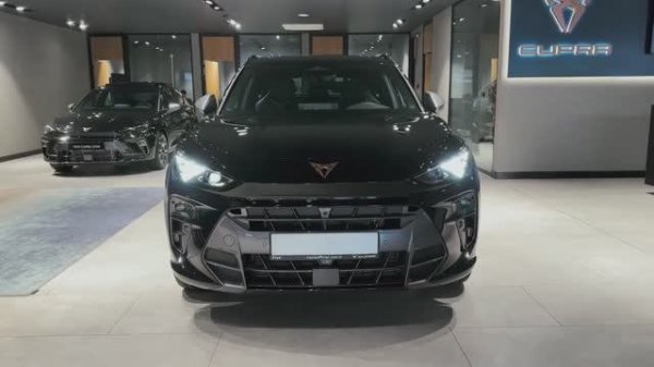 Cupra Terramar VZ Line 2025 обзор