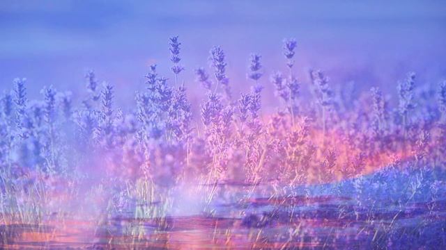 Целебные поющие чаши для звуковой и цветотерапии при головной боли и стрессе #8 смотреть онлайн