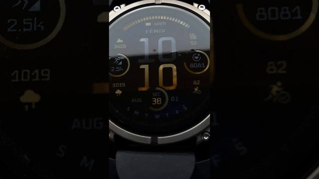 Garmin Fenix 8 AMOLED 47mm Sapphire Titanium. #garmin #fenix8 смотреть онлайн