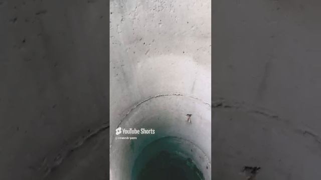 Экскурсия в Царство Мертвых. смотреть онлайн