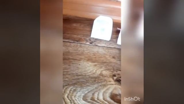 Клип от канала несколько строк смотреть онлайн