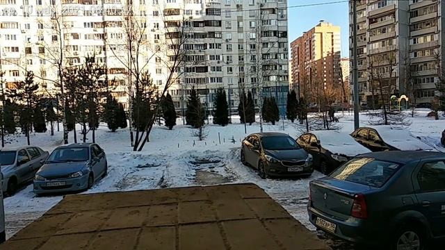 ТАЙМЛАПС!!! 20 Дней За 2 Минуты! Интересно! Ждем Новые Клипы смотреть онлайн