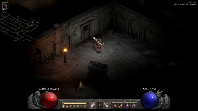 Diablo II Resurrected #12