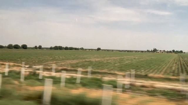 Из Ташкента в Самарканд на поезде смотреть онлайн