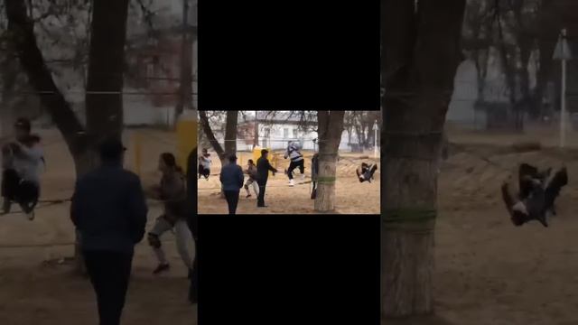 Ақкөл жалпы орта мектебі “Телевизиялық сюжет” номинациясы “Жас турист-өлкетанушылар” смотреть онлайн