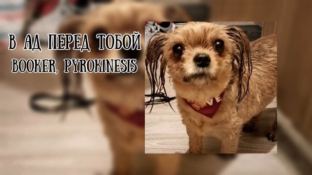 Pyrokinesis, BOOKER - В ад только перед тобой (speed up) смотреть онлайн