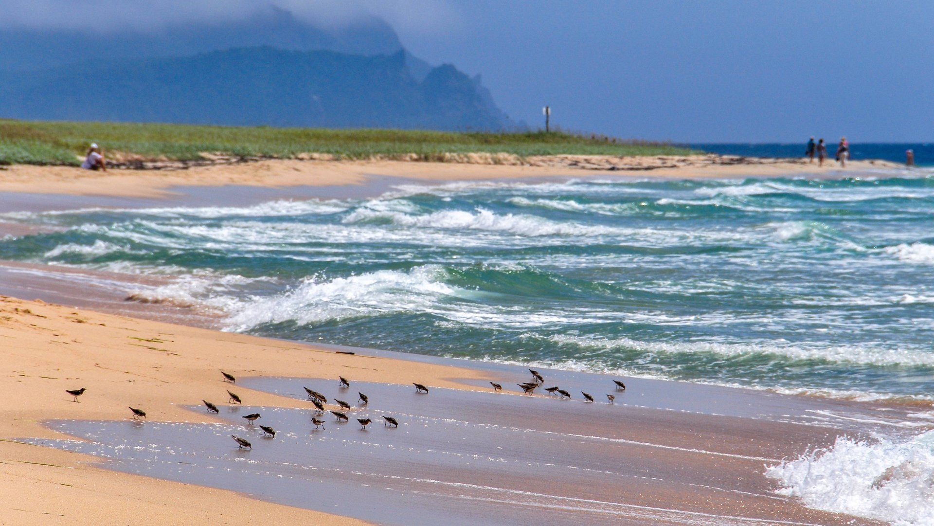 Video Presentation Primorsky Region