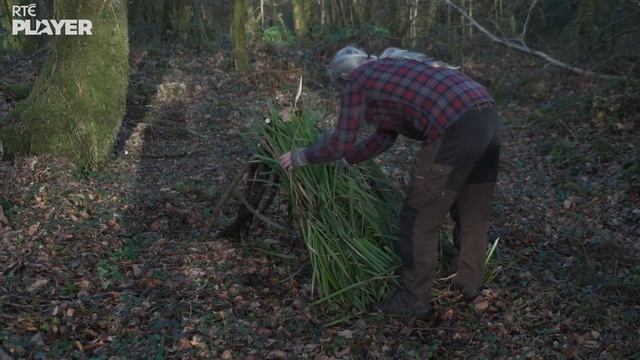 ⛺️ How To Build a Shelter with Tom Bán 🍃 смотреть онлайн