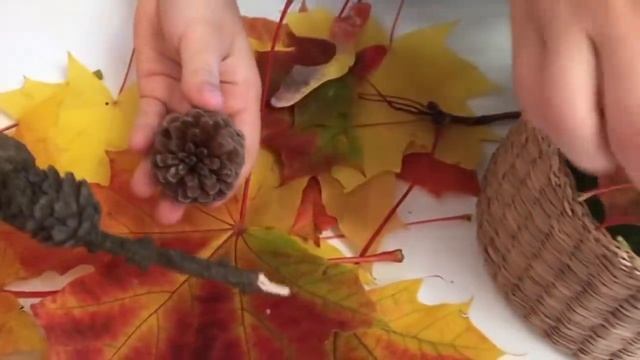 Охота за золотыми листьями 🍂 Учимся с Лунтиком 🍁 Новая серия смотреть онлайн