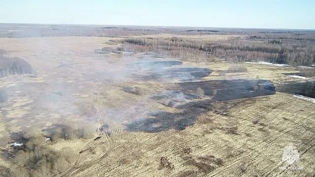 Палы травы смотреть онлайн