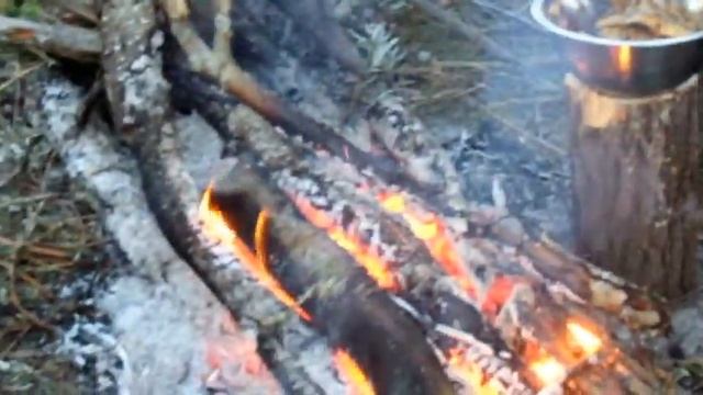 Приобское Зенково смотреть онлайн