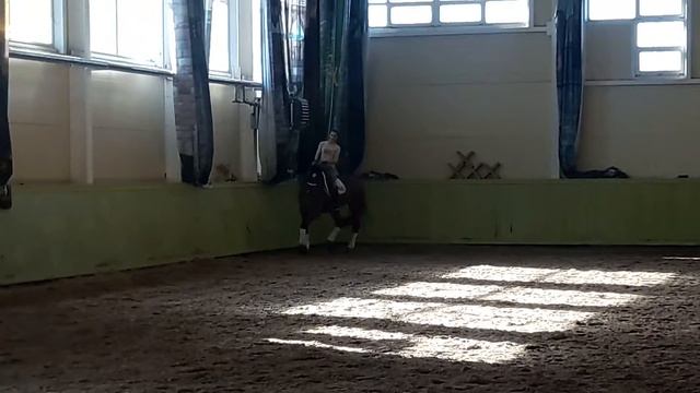 Продается выездковый мерин 8 лет 182 см смотреть онлайн