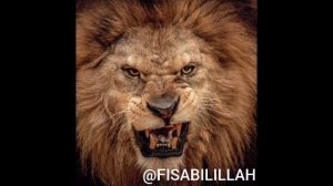 Нашид-Nasheed сборник самых лучших нашидов | красивые нашиды | успокаивающий нашид | мощный нашид