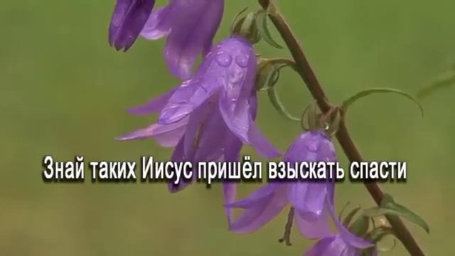 Иисуса ты впусти смотреть онлайн