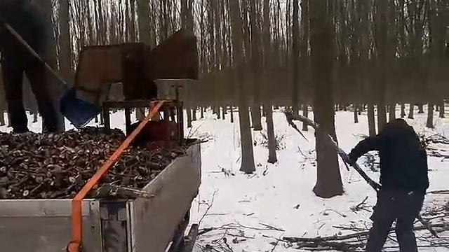 заготовка дров смотреть онлайн