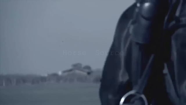 HandClap Equine Polo Music Video