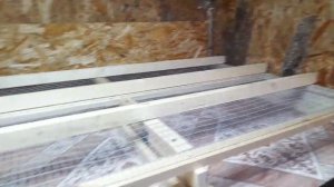 Насест для кур своими руками. Сборник помета.