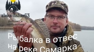 Судак , берш. Рыбалка в отвес в октябре 2024 на реке Самарка