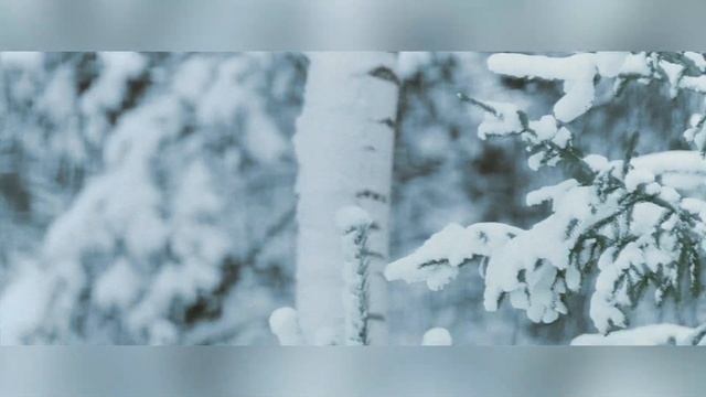 Снег на погонах смотреть онлайн