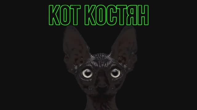 #Мая_Лето, КОТ-КОСТЯН-ДРАКОН, Павел Пламенев-"Воины всей земли" смотреть онлайн