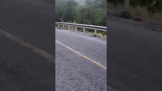 Серпантини та крутий спуск з перевалу Бабадаг #babadağ #marmaris смотреть онлайн