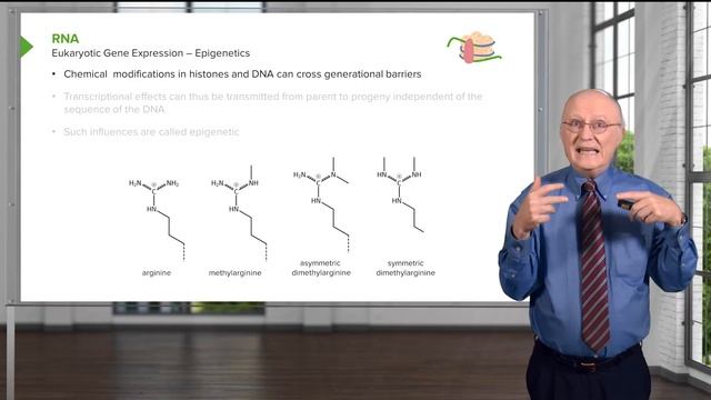 02. The Complexity of RNA Structure смотреть онлайн