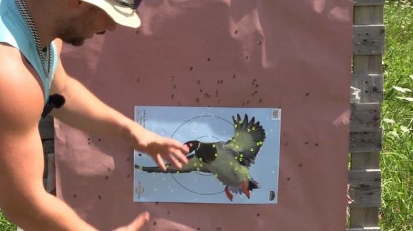 patternmaster code black duck vs code black goose with apex ammunition | bco review |