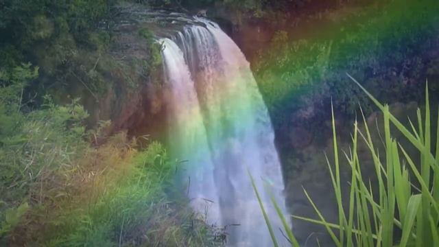 Студия ВЕКТОР ТК. Безупречность Красоты. Из фильма "Майклу Томасу не снилось..." смотреть онлайн