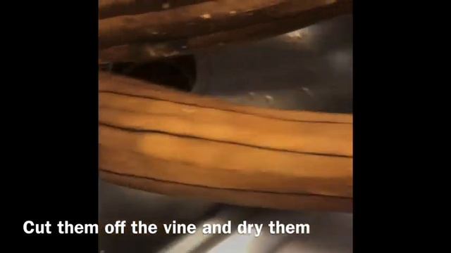 How to Make Loofahs from Sponge Plants смотреть онлайн