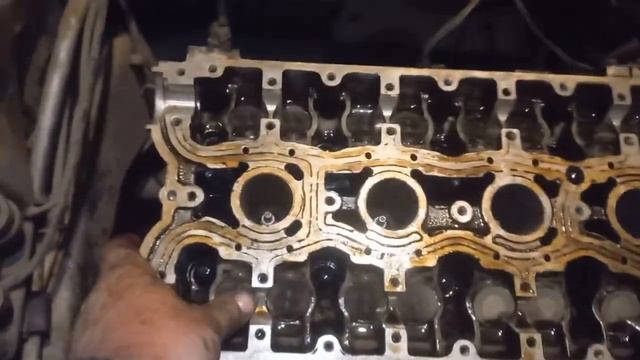 Математический анализ: Гибкий и гибкий