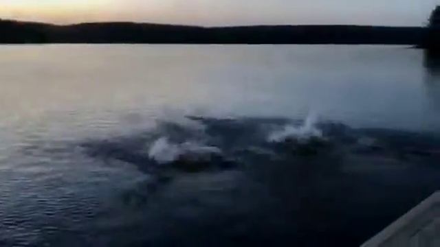 Купальный сезон начался! Ждем в Прибрежном Парке, приезжайте! смотреть онлайн