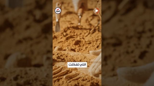 اكتشاف مخلوق غريب عمره 120 مليون عام смотреть онлайн