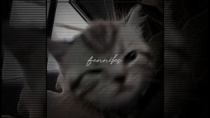 🌿абсолютно рандомный плей лист speed up песен🌿