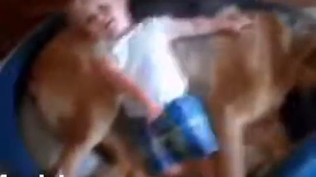 Самое смешное видео про детей и животных 2014!!!Малыши отжигают!!!funny kids 2014!!! смотреть онлайн