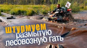 ЛЕСОВОЗНАЯ ГАТЬ. Часть1. ЭНЦИКЛОПЕДИЯ РОССИЙСКОГО БЕЗДОРОЖЬЯ. 1300 км  на квадроциклах РМ800 duo.