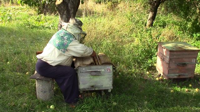 MVI_0439 Очтистка улья от моли смотреть онлайн