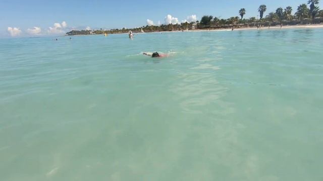 She swims to me!Cuba Varadero with kids смотреть онлайн