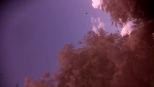 Съёмка на природе, в инфракрасном спектре. смотреть онлайн
