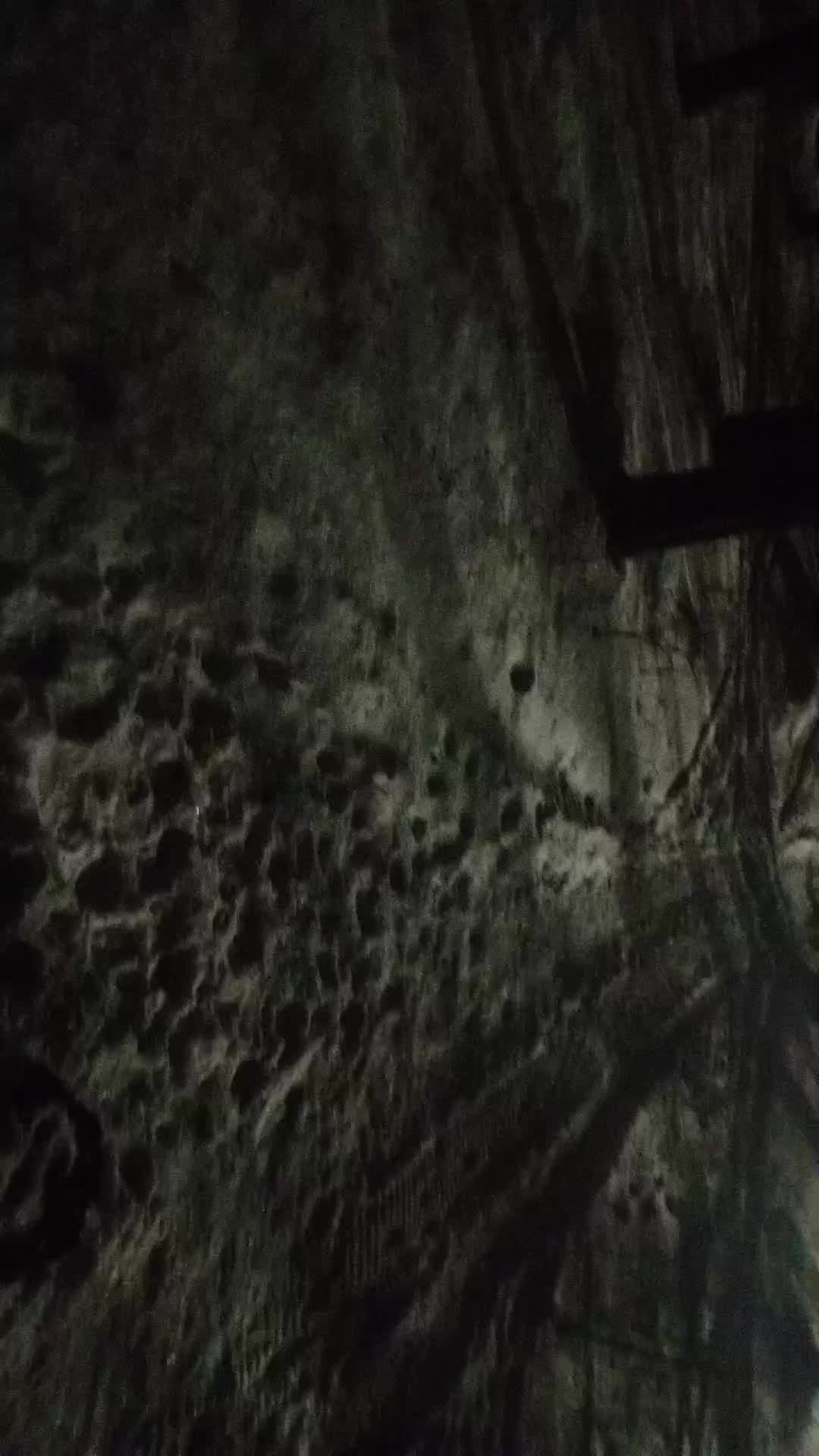 Прогулка по лесу зимой 🥶 смотреть онлайн