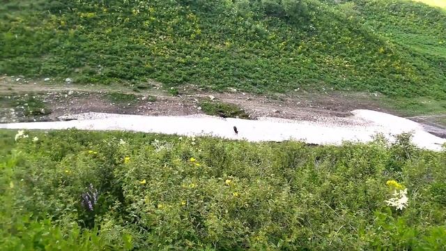 посмотреть на сорок красивых пейзажей с его водами#Rasht_Tajikistan смотреть онлайн