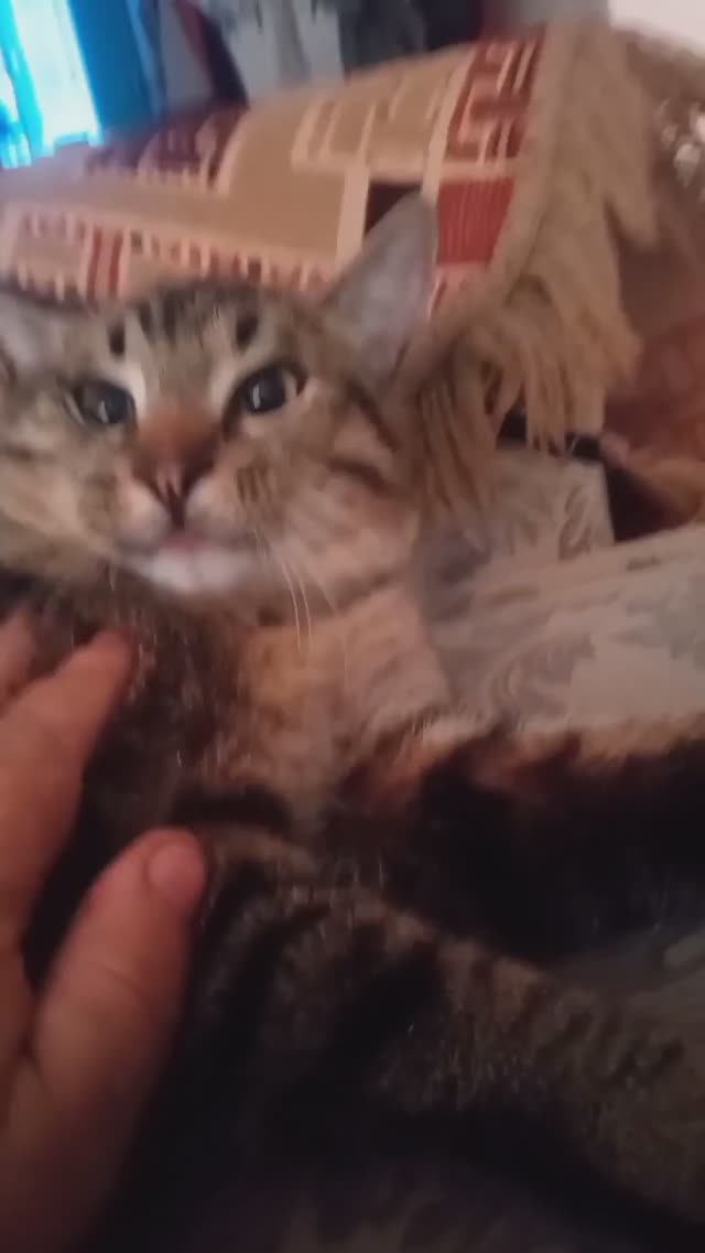 подьем смотреть онлайн