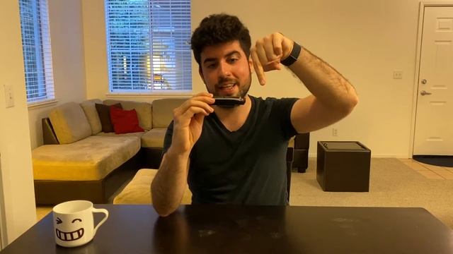 Learn Harmonica in 30 Days - Quarantine Challenge - Episode 1 смотреть онлайн