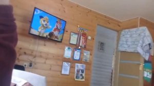 Звоним на разные номера