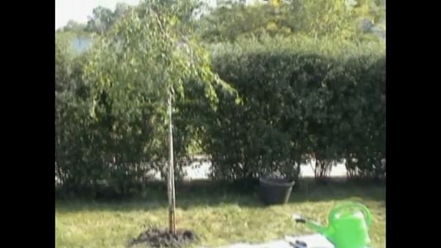 ДДТ смотреть онлайн