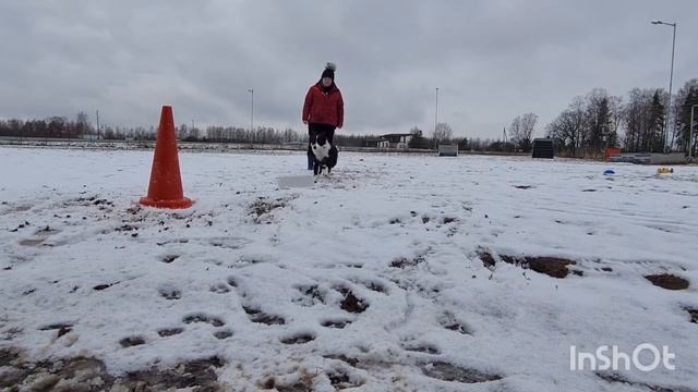 Зума конус/тач смотреть онлайн