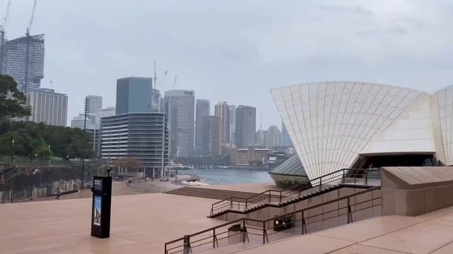 sydney vlog 🎀 social hideout cafe, monet & friends, opera house смотреть онлайн